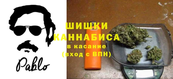 крисы Балахна