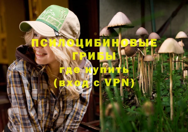 мяу мяу мука Беломорск