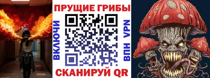 блэк спрут зеркало Назарово Псилоцибиновые грибы Psilocybe